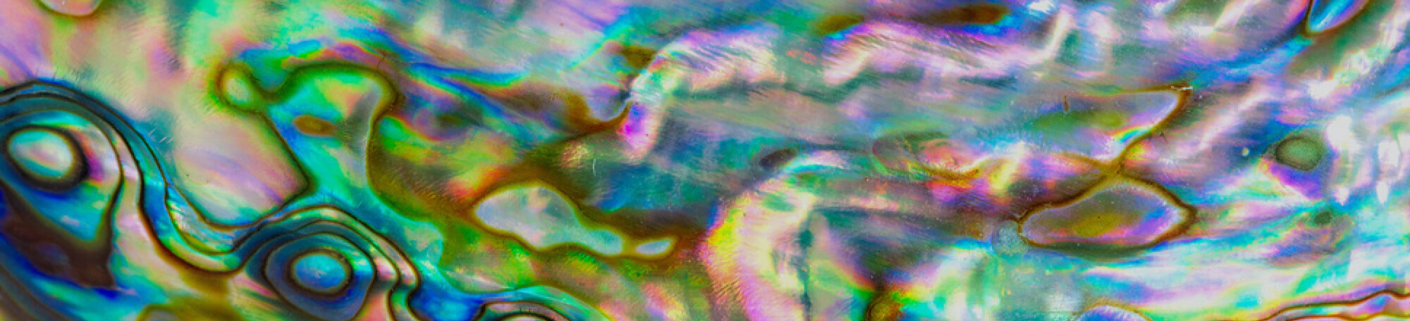 About Maria Louisa header image
